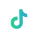 TikTok icon